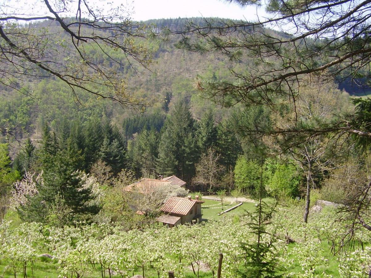 Appartamento Casale Camalda Serravalle  Esterno foto